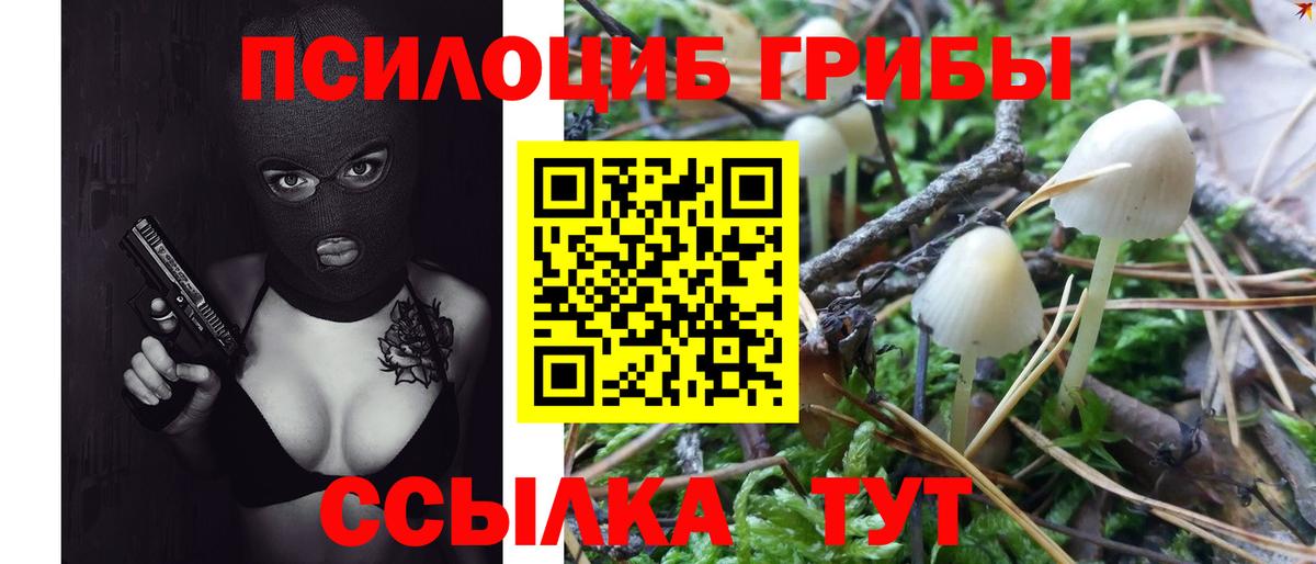 Псилоцибиновые грибы MAGIC MUSHROOMS  Вход с VPN  Псилоцибиновые грибы Cubensis  Калуга 